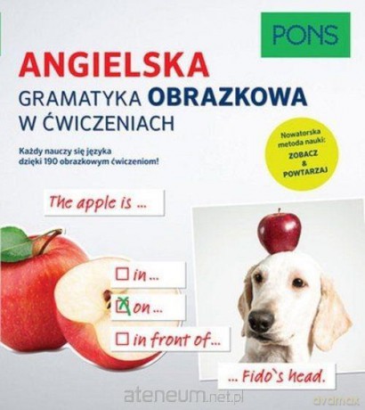 Gramatyka obrazkowa w ćwiczeniach - Angielski [KSIĄŻKA]