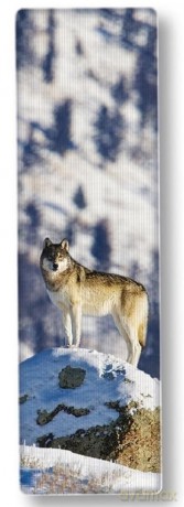National Geographic Zakładka 3D Wilk