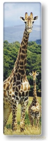 National Geographic Zakładka 3D Żyrafa