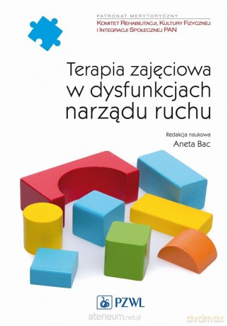 Terapia zajęciowa w dysfunkcjach narządu ruchu - Aneta Bac [KSIĄŻKA]
