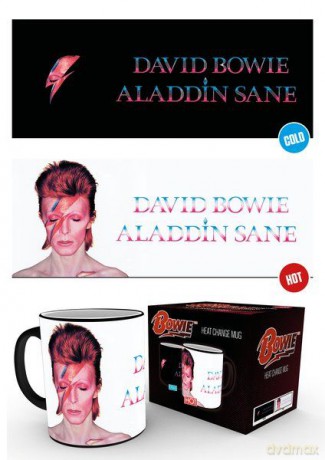 David Bowie: Aladdin Sane Kubek