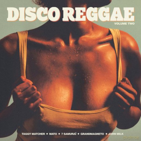 Disco Reggae Vol.2 [CD]