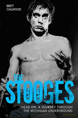 Stooges: Head On. A Journey Through The Michigan Underground [KSIĄŻKA]