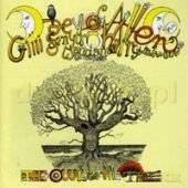 Mother Gong With Daevid Allen: The Owl & The Tree [CD]