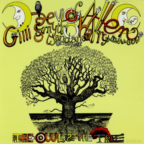 Mother Gong With Daevid Allen: The Owl & The Tree [CD]