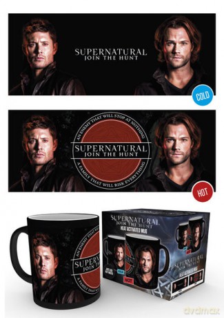 Supernatural: Sam and Dean Kubek