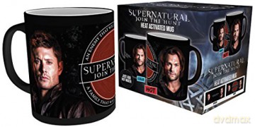 Supernatural: Sam and Dean Kubek