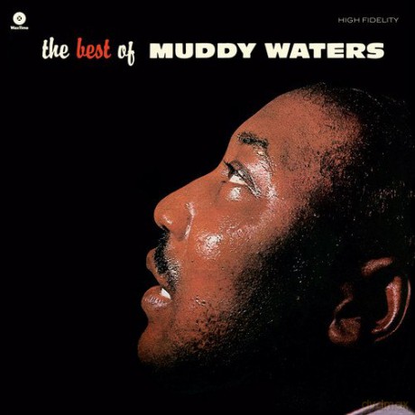 Muddy Waters: The Best Of [Winyl]