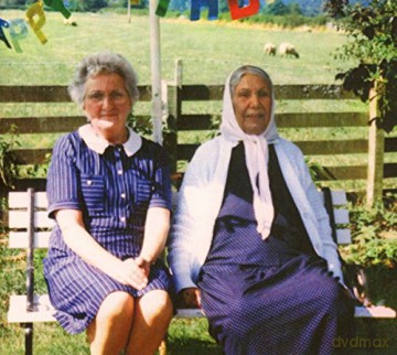 Dauwd: Theory Of Colours [Winyl]