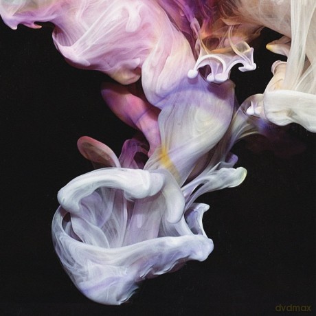 Simian Mobile Disco: Murmurations (digipack) [CD]