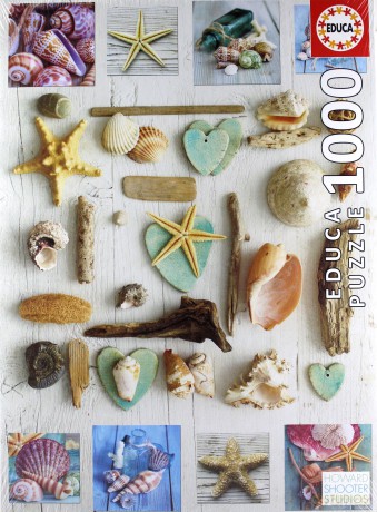 EDUCA Muszelkowy Kolaż 1000 el. [PUZZLE]