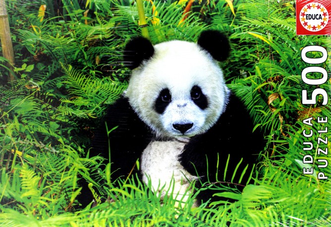 EDUCA Panda 500 el. [PUZZLE]