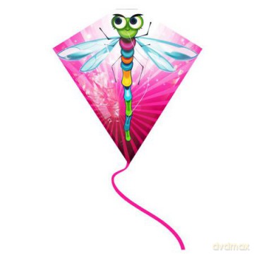 Latawiec Ready To Fly Plastik Włókno Ważka, Smok, Papuga, Żaba