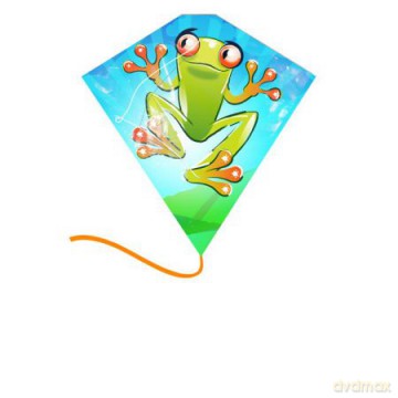 Latawiec Ready To Fly Plastik Włókno Ważka, Smok, Papuga, Żaba