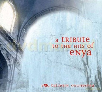 Taliesin Orchestra: A Tribute To The Hits Of Enya (digipack) [CD]