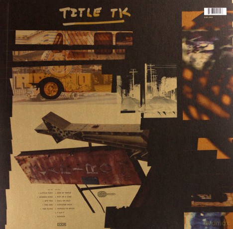The Breeders: Title Tk [Winyl]
