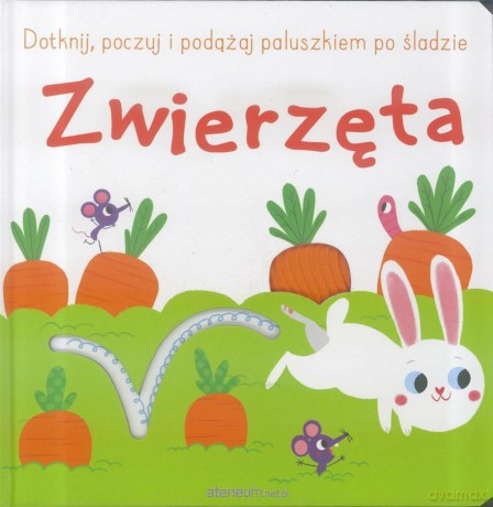 Dotknij, poczuj i podążaj paluszkiem - Zwierzęta [KSIĄŻKA]