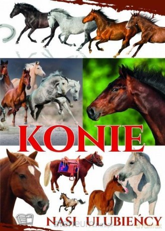 Konie - Nasi ulubieńcy - Joanna Werner [KSIĄŻKA]