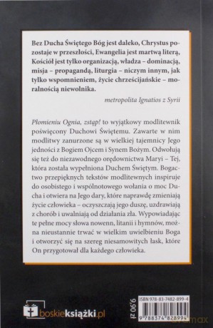 Płomieniu ognia, zstąp! Modlitwy do Duchu Świętego - s. Bożena Maria Hanusiak [KSIĄŻKA]