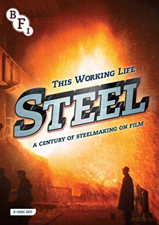 This Working Life: Steel [DVD]