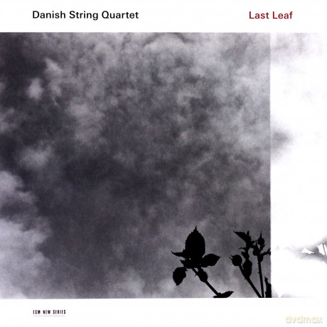 Danish String Quartet: Last Leaf [Winyl]