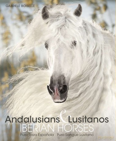 Andalusians and lusitanos - Gabriele Boiselle [KSIĄŻKA]