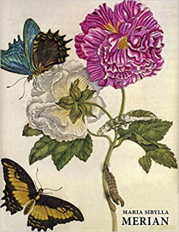 Maria Sibylla Merian - Daniel Kiecol [KSIĄŻKA]