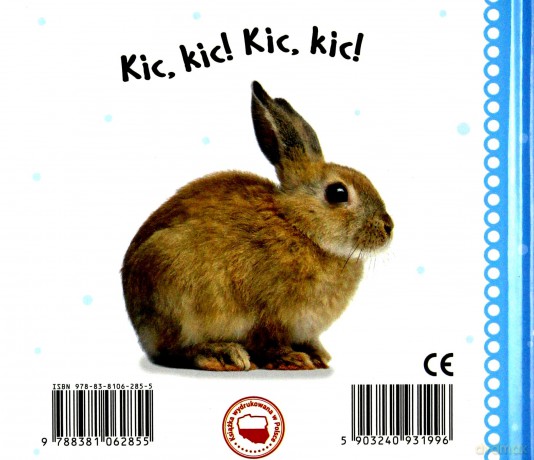 Na wsi. Czyj to głos [KSIĄŻKA]