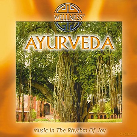 Guru Atman: Ayurveda - Music In The Rhythm [CD]