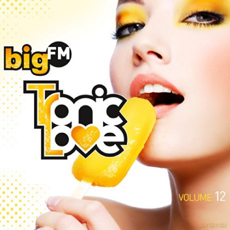 bigFM Tronic Love vol. 12 [2CD]