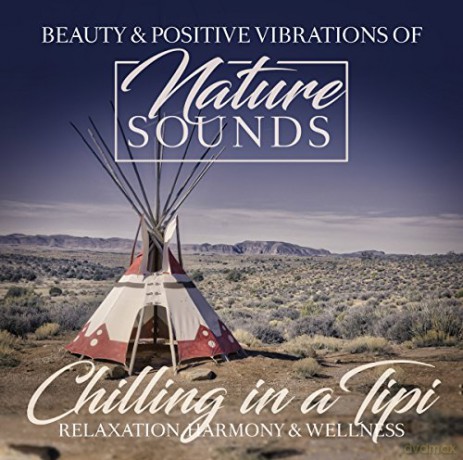 Chilling in a Tipi [CD]