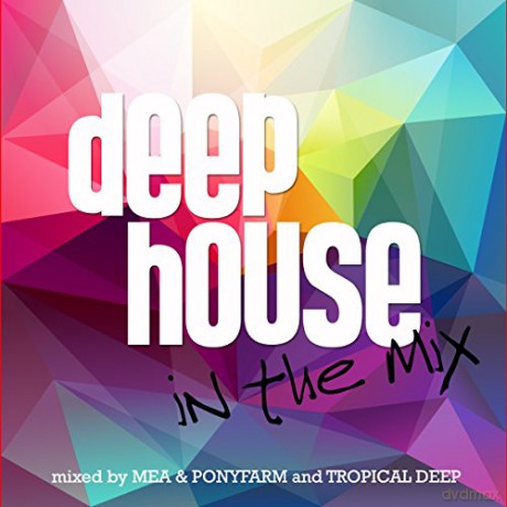 Deep House In The Mix [2CD]