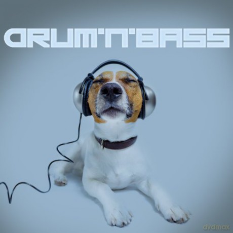 DrumnBass [CD]