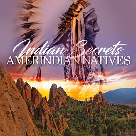 Indian Secrets - Amerindian Na [CD]