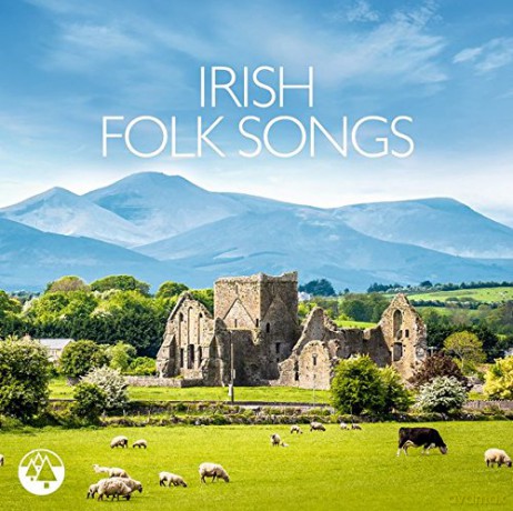 Irish Folk Songs [2CD]