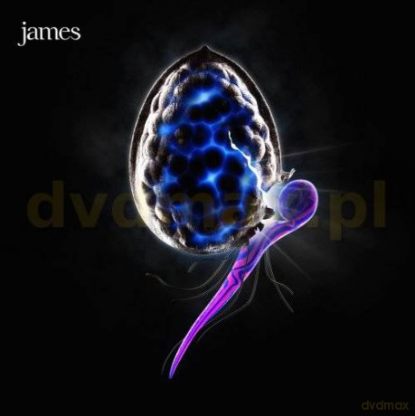 James: Night Before [CD]