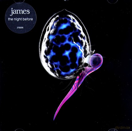 James: Night Before [CD]