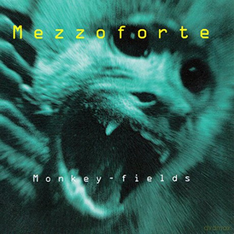 Mezzoforte: Monkey Fields [CD]