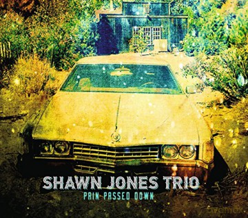 Shawn Jones Trio: Pain Passed Down [CD]