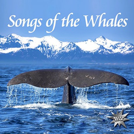 Nature Project: Songs Of The Whales [CD]