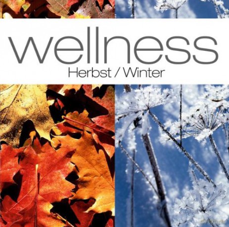 Wellness: Herbst/Winter [2CD]