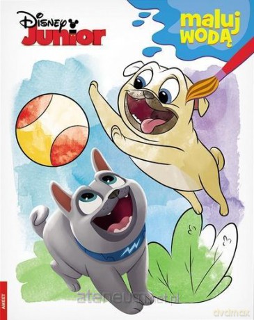 Disney Junior. Maluj Wodą [KSIĄŻKA]