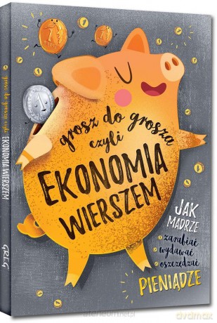 Grosz do grosza, czyli ekonomia... kolor - Grzegorz Strzeboński, Patrycja Wojtkowiak-Skóra [KSIĄŻKA]