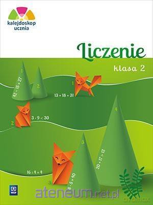Kalejdoskop ucznia. Liczenie klasa 2 - Aniela Chankowska [KSIĄŻKA]
