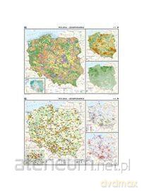 Mapa - Polska. Gospodarka - Przemysł i usługi