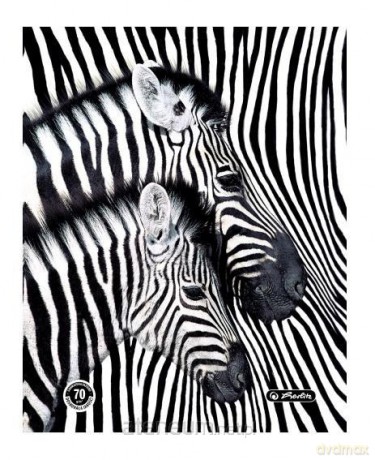Teczka rysunkowa A4 z gumką Black&White