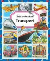 Transport. Świat w obrazkach - Emilie Beaumont, Marie-Renee Guilloret [KSIĄŻKA]