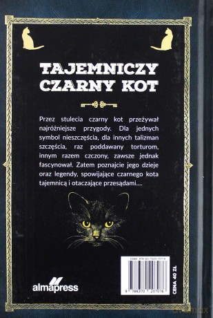 Tajemniczy czarny kot. Legendy i przesądy - Nathalie Semenuik [KSIĄŻKA]