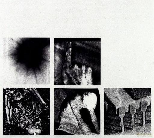 Nine Inch Nails: Bad Witch [CD]