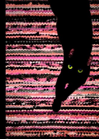 Kalendarz 2019 A5 Narcissus Gee cat on the floor [KALENDARZ]